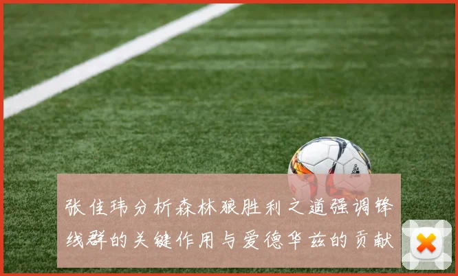 张佳玮分析森林狼胜利之道强调锋线群的关键作用与爱德华兹的贡献