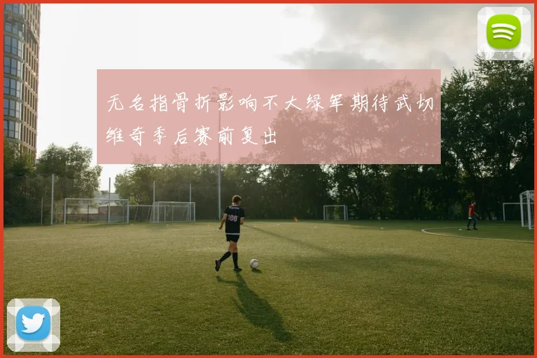 无名指骨折影响不大绿军期待武切维奇季后赛前复出