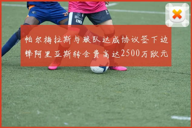 帕尔梅拉斯与狼队达成协议签下边锋阿里亚斯转会费高达2500万欧元
