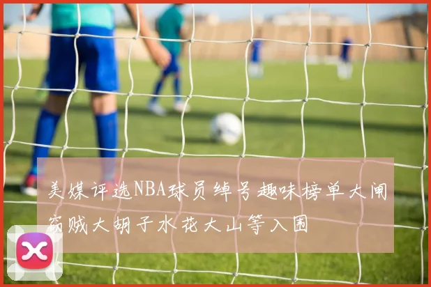 美媒评选NBA球员绰号趣味榜单大闸窃贼大胡子水花大山等入围
