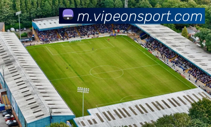 意昂体育平台生态图